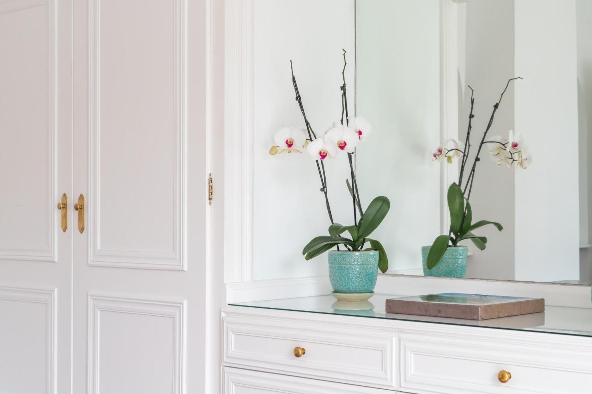 Aurora Boutique House - Only Adults Bed and Breakfast Marbella Eksteriør billede