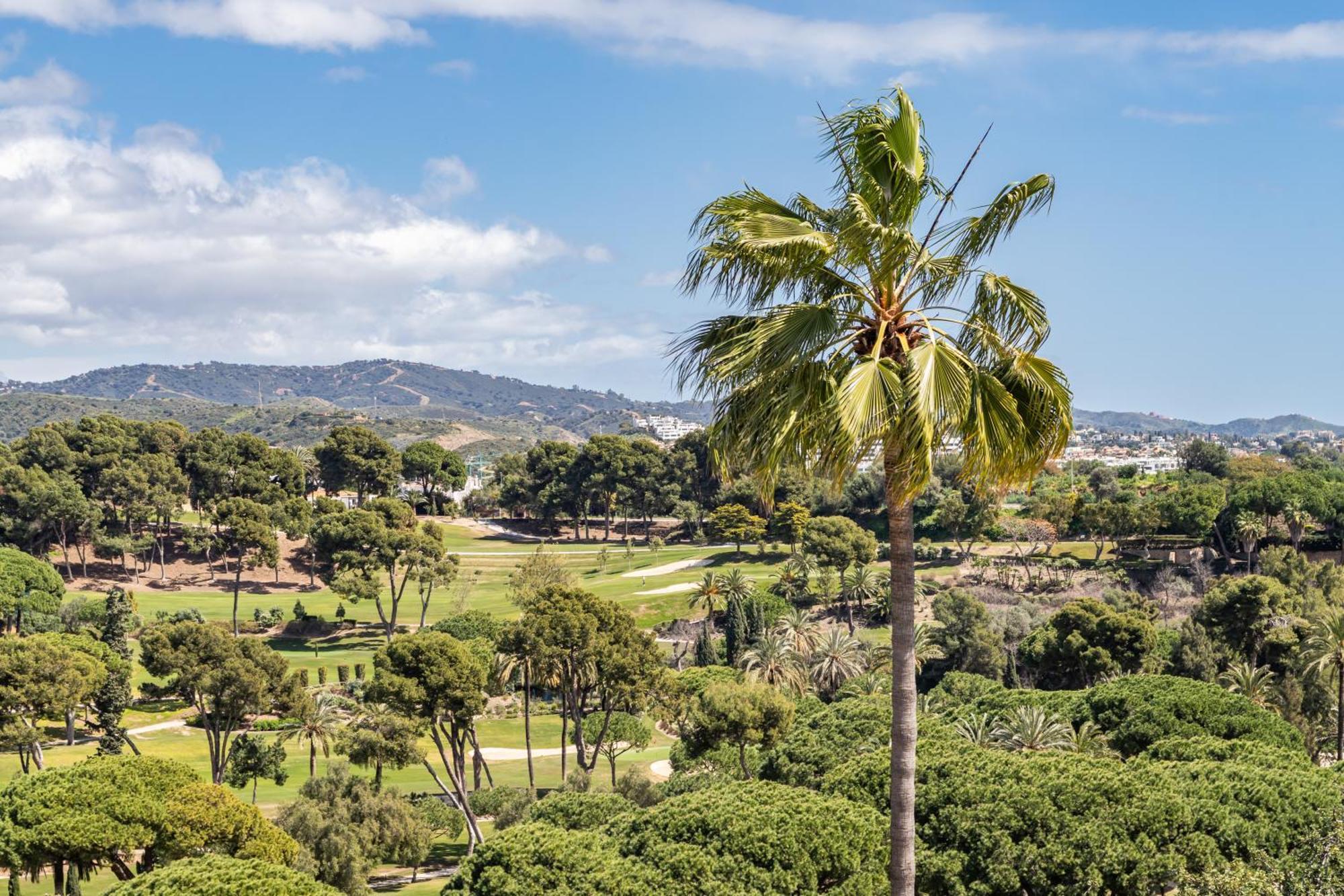 Aurora Boutique House - Only Adults Bed and Breakfast Marbella Eksteriør billede